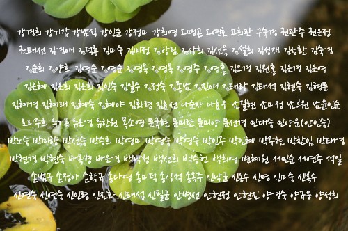 사용자 삽입 이미지